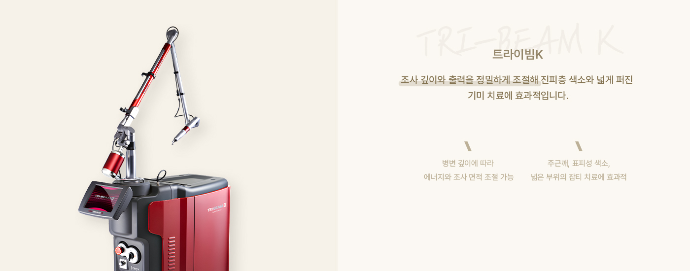 루메카 (IPL)